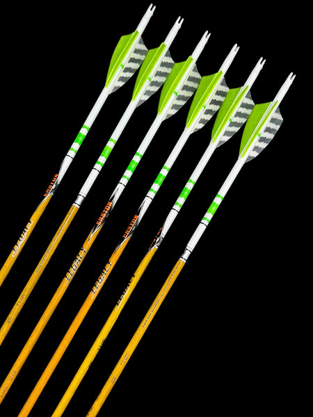 Easton Carbon Legacy 600 – Addictive Archery