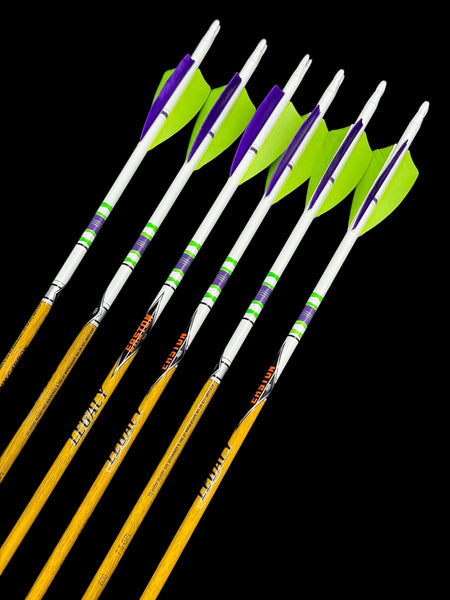 Easton Carbon Legacy 600 – Addictive Archery