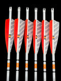 Orange and white barred feathers