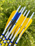 Gold Tip 340 Traditional Classic XT Arrows