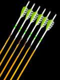 Easton Carbon Legacy 700