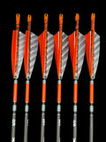 Meat Styk Carbon 400