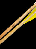 60/65 test arrow yellow feathers