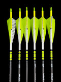 Meat Styk Carbon 400