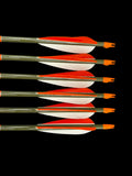#50-55 Port Orford Cedar Arrows