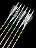 Gold tip traditions classic arrows 