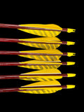 #50-55 Port Orford Cedar  Arrows