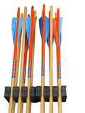 1 dozen arrows in divider