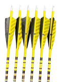 Gold Tip 500 Traditional Classic Arrows