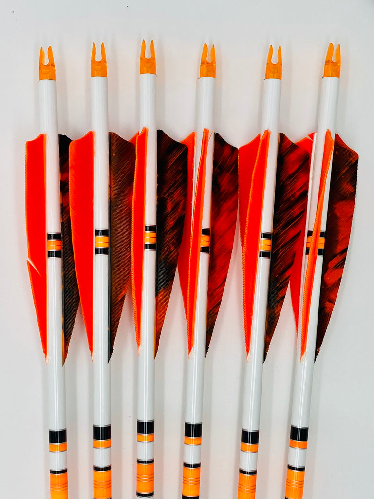 Black Eagle Vintage 350 Spine Addictive Archery