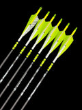 Meat Styk Carbon 400
