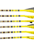 Gold Tip 500 Traditional Classic Arrows