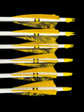 #70-75 Doug Fir - Surewood Arrows