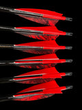 #70-75 Doug Fir - Surewood Arrows