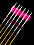Easton Carbon Legacy 700