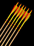 #55-60 Doug Fir - Premium Grade Arrows