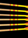 #55-60 Doug Fir - Premium Grade Arrows