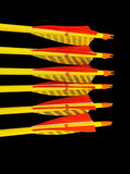 #55-60 Doug Fir - Premium Grade Arrows