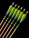 #65-70 Western Larch Arrows