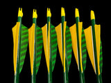 #65-70 Western Larch Arrows