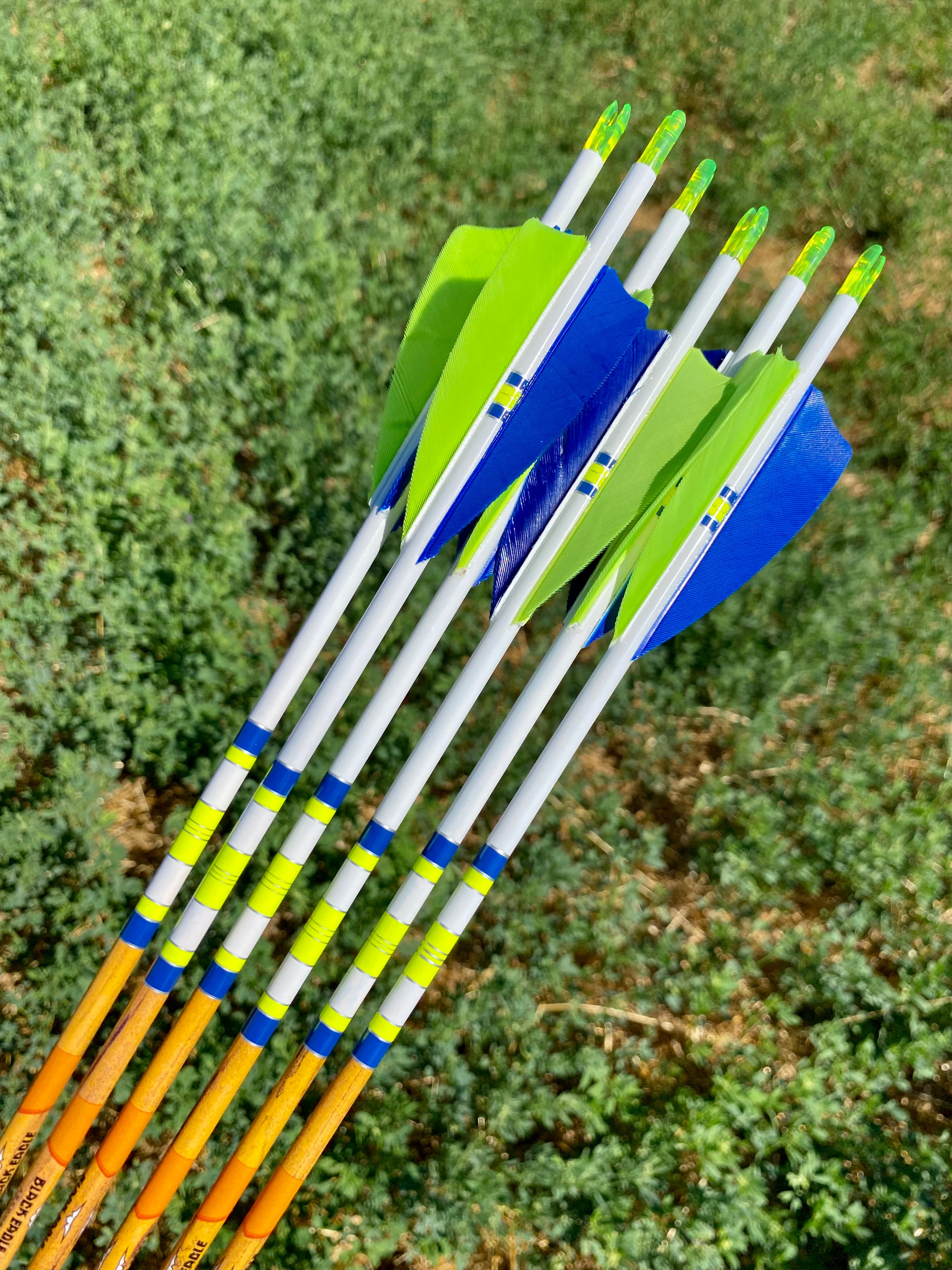 Black Eagle Instinct Crested Feathers Arrows - Wood Grain Micro-Diameter Carbon, 6 Pack For Recurve & Longbow