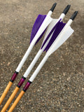 Youth Arrows